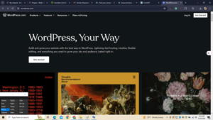 wordpress website