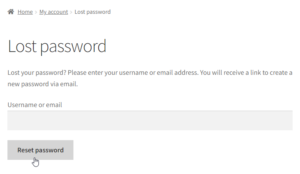 Wordpress Admin Password