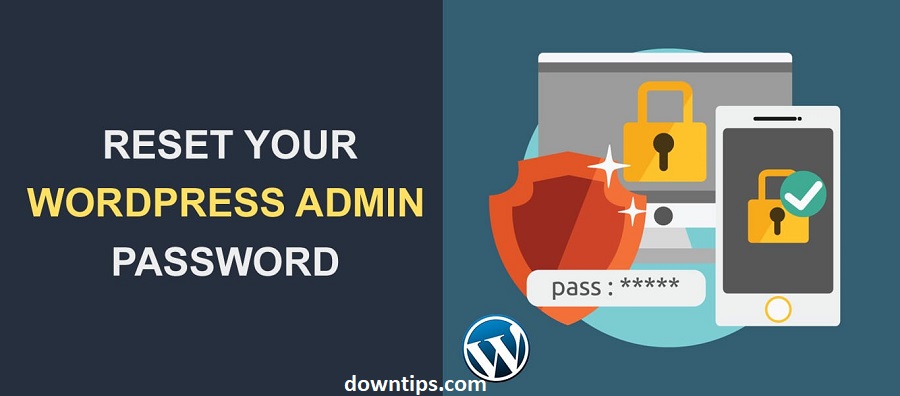 Wordpress Admin Password